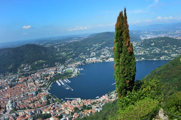 Vue imprenable sur le lac de Côme depuis Brunate, panorama sur le lac et la ville de Côme avec arbre vert sur la droite et montagnes sur le fond, Côme été 2016, Lombardie, Italie — Photo