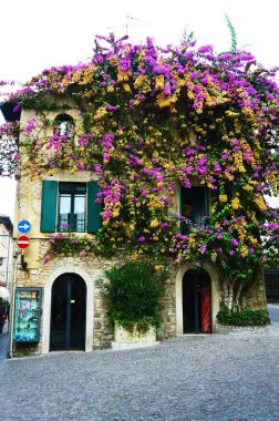 Güzel bir ev kaplı çiçekler mor ve sarı, sisli gün, Sirmione, Lake Garda, İtalya, Kasım 2016