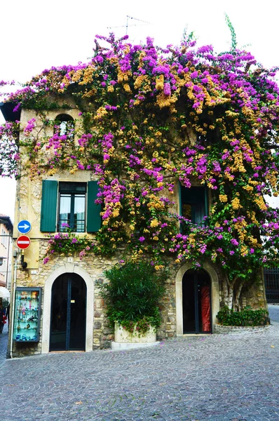 Pěkný dům zahrnuty květy fialové a žluté, mlhavé den, Sirmione, jezero Lago di Garda, Itálie, listopad 2016 — Stock fotografie