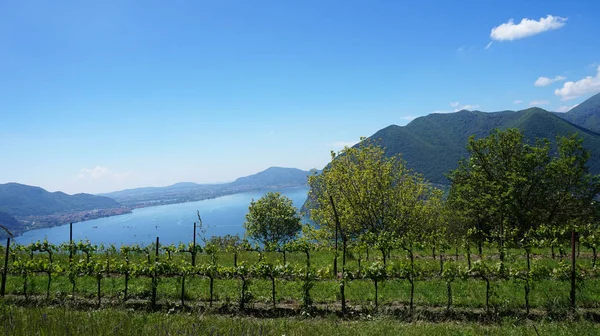 Sjön panorama från "Monte Isola". Italienska landskap. Ön på sjön. Visa från ön Monte Isola på sjön Iseo, Italien — Stockfoto