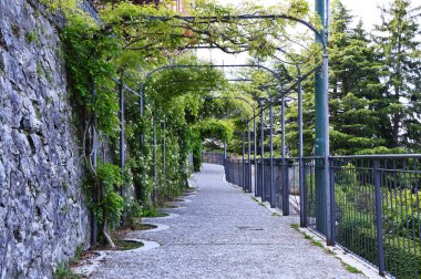 Yay ile tırmanma bitki ve Çiçek Bahçesi