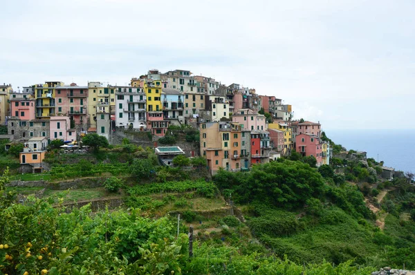 Úžasný výhled na město Corniglia v Cinque Terre, Itálie — Stock fotografie