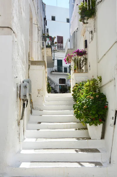 Hermosa vista del pintoresco callejón estrecho con plantas en la romántica ciudad blanca de Ostuni, Apulia, sur de Italia — Foto de Stock