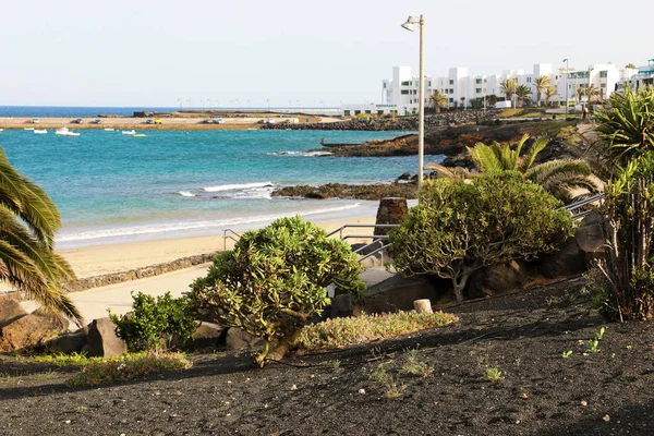 Praia Las Cucharas Com Vegetação Solo Vulcânico Preto Costa Teguise — Fotografia de Stock