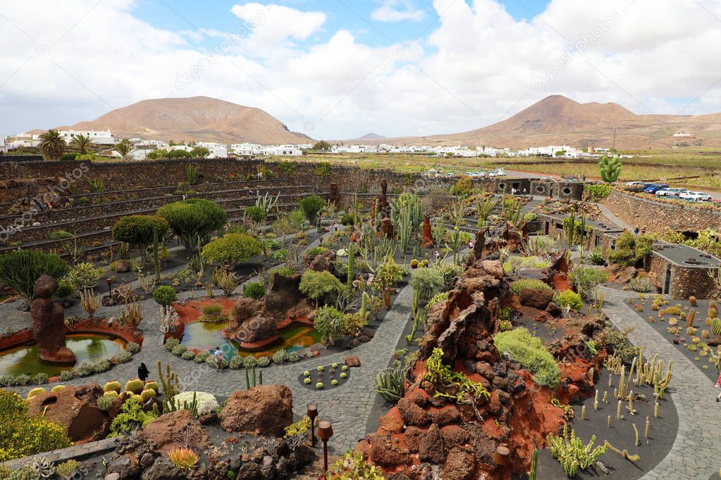 Amazing view on the tropical cactus garden Jardin de Cactus in Guatiza village, Lanzarote, Canary Islands