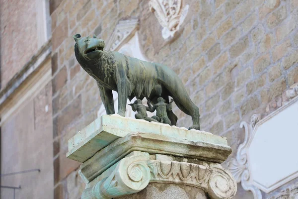 Antigua estatua de Lobo Capitolino en la Colina Capitolina, Roma, Italia —  Fotos de Stock