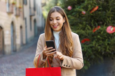 Noel kadını, arka planında Noel ağacı olan akıllı telefondan internetten satın alıyor..