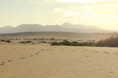Corralejo yakınlarında kum tepeleri, günbatımında arka planda volkan dağları, Fuerteventura, Kanarya Adaları