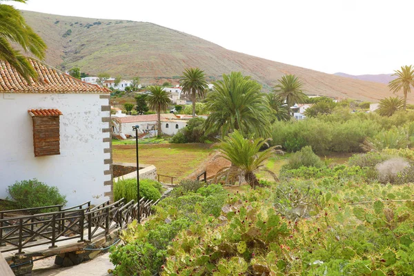 Cactus tuin in het kleine stadje Betancuria, Fuerteventura, Canarische Eilanden — Stockfoto