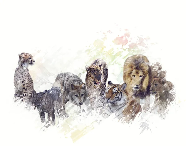 Divoká zvířata akvarel — Stock fotografie