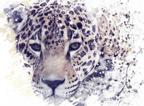 Warna Air Portrait Leopard — Stok Foto