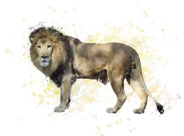 Portret Lion akwarela — Zdjęcie stockowe