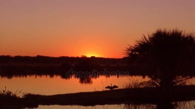 Florida sulak gün batımı