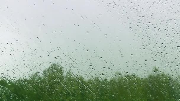 Gotas de lluvia cayendo sobre una ventana — Vídeos de Stock