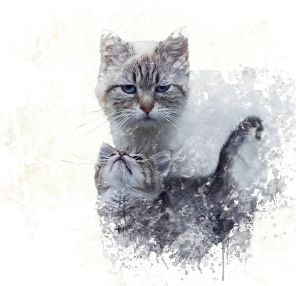 Mother Cat with its Kitten Watercolor — Stock Photo, Image