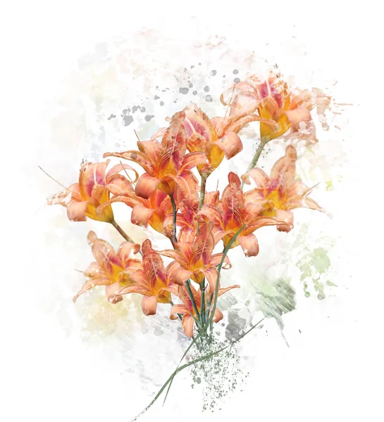 Oranje Lily-bloemen-aquarel — Stockfoto