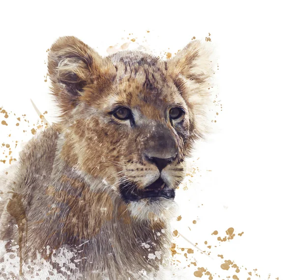 Young Lion watercolor — Stock Photo, Image