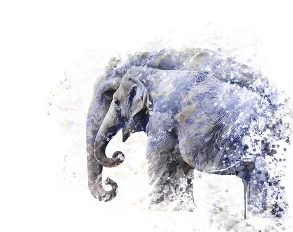 Two elephants watercolor — Stock Photo, Image