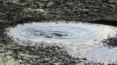 Balık gölet kadar kuru sezon sırasında Florida'da kurutma atlamak