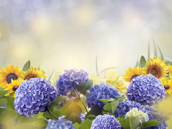 Modré a žluté květy — Stock fotografie