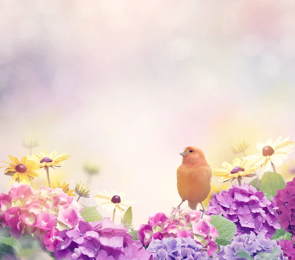 Flower Background with a Yellow Bird — Stock Photo, Image