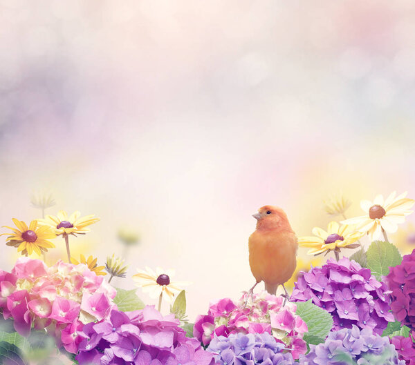 Flower Background with a Yellow Bird
