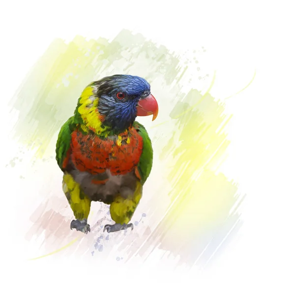 Rainbow Lorikeet akwarela — Zdjęcie stockowe