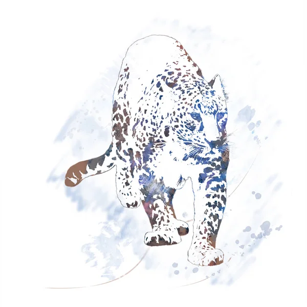 Leopardí portrét akvarel — Stock fotografie