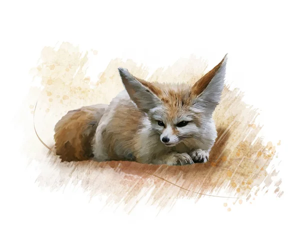 Fennec Fox ακουαρέλα — Φωτογραφία Αρχείου