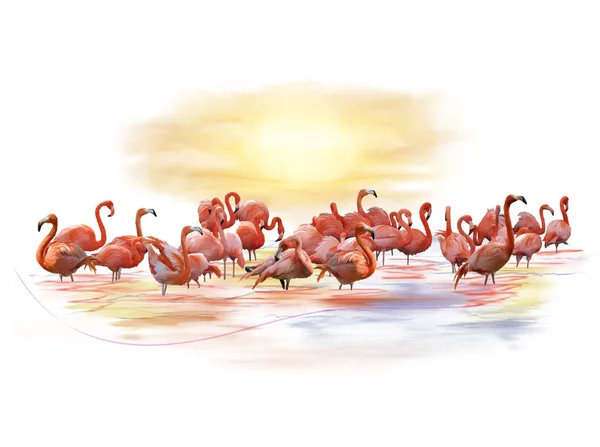 Pink Flamingos Watercolor — Stock Photo, Image