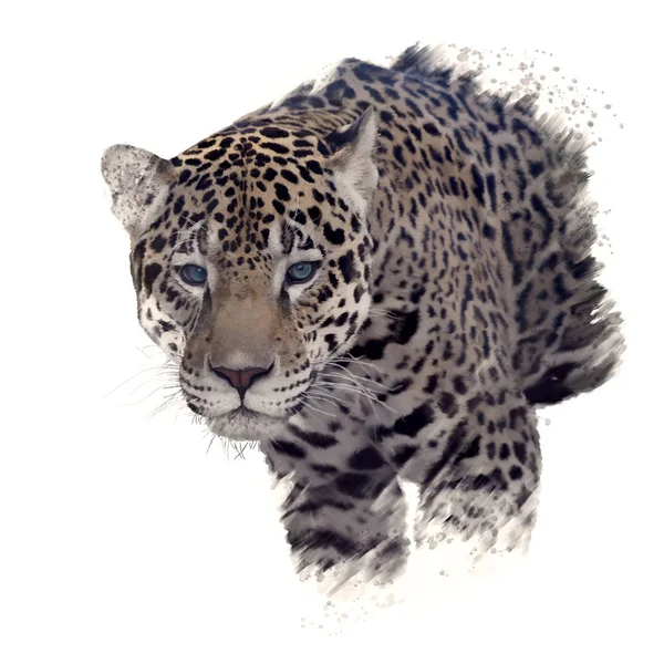 Cabeça de leopardo aquarela — Fotografia de Stock