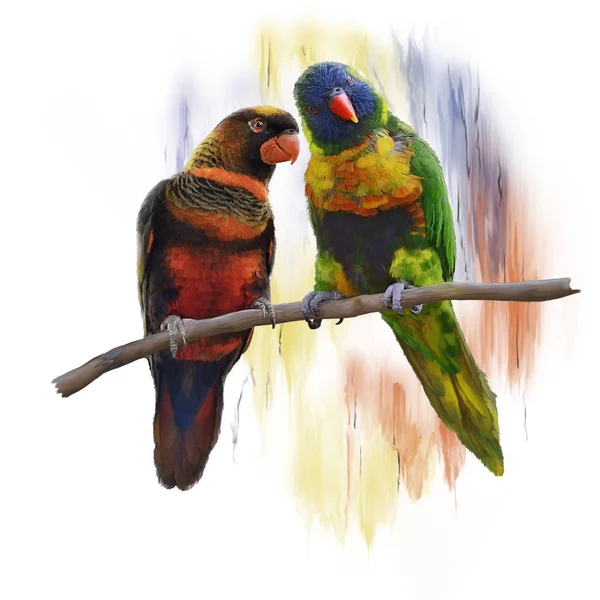 Lorikeet papegojor akvarell — Stockfoto