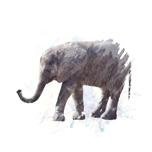 Elefantenbaby-Aquarell — Stockfoto