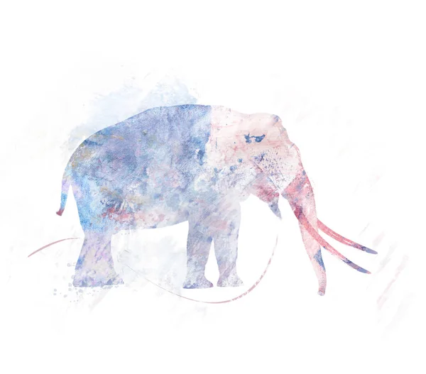 Obraz akvarel slon — Stock fotografie