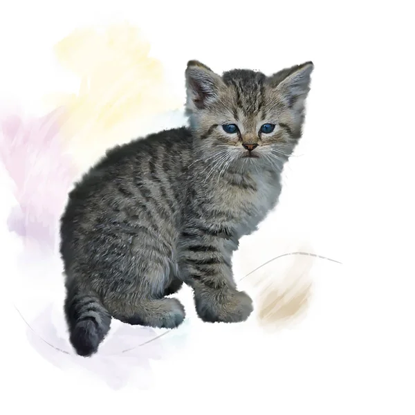 Grijze en bruine Kitten aquarel — Stockfoto
