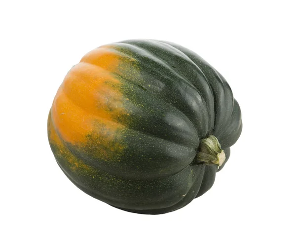 Acorn Squash on white — Stock Photo, Image