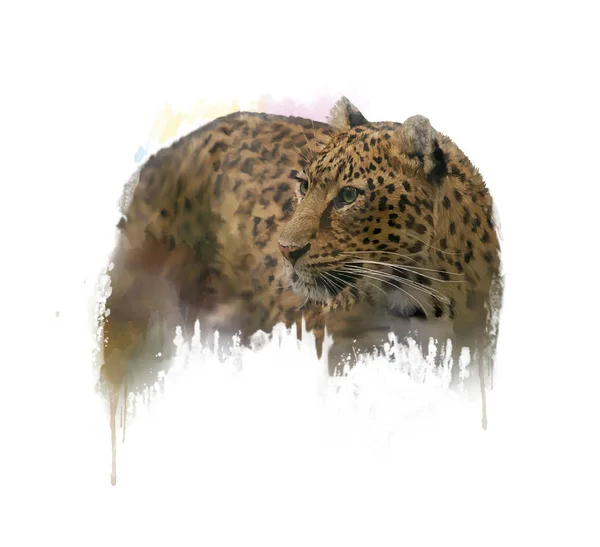 Изображение акварели леопарда — стоковое фото