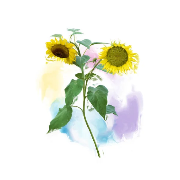 Twee zonnebloemen schilderij — Stockfoto