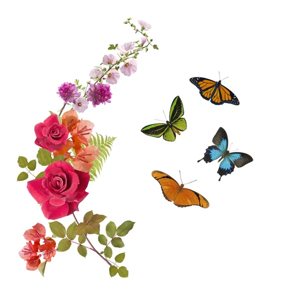 Motýli a květiny uspořádání — Stock fotografie
