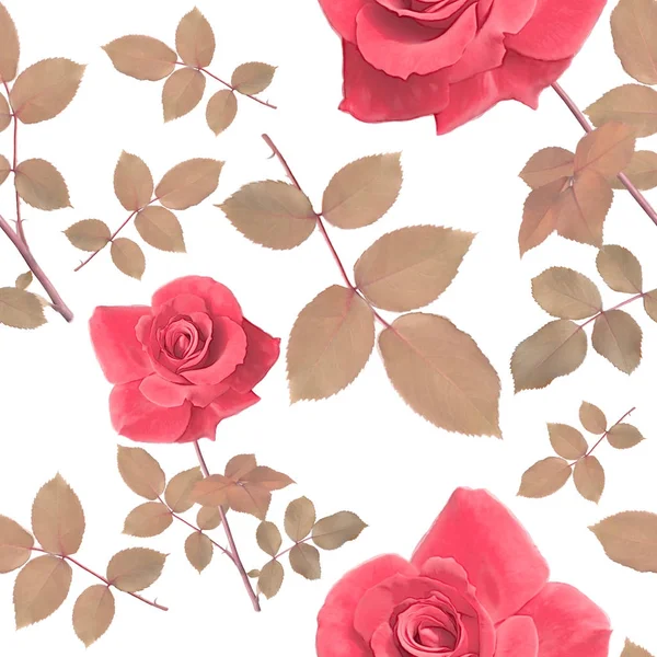 Seamless pattern with roses and leaves — Stock Photo, Image