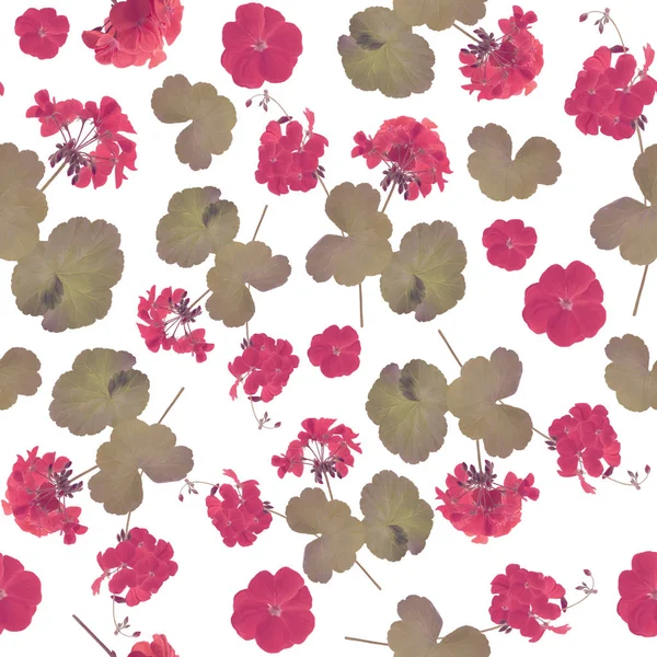 Varrat nélküli mintát muskátli virág — Stock Fotó