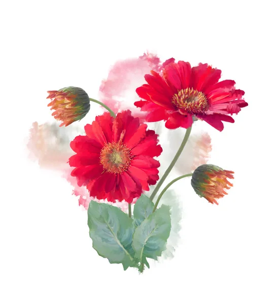 ガーベラの花の水彩画 — ストック写真