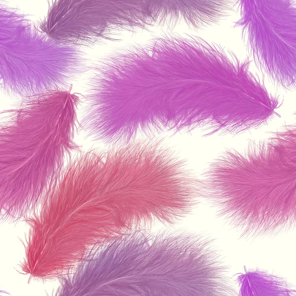 Seamless   pattern of colorful feathers — Stock Photo, Image