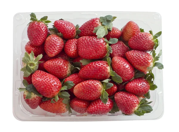 Fresh strawberries in a plastic container — Stock Photo, Image