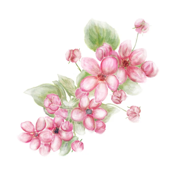 Roze bloemen aquarel — Stockfoto