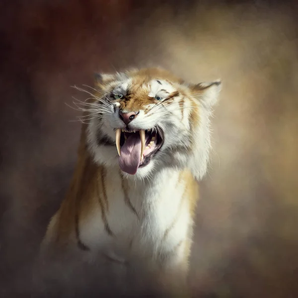 セイバートゥース虎肖像画 — ストック写真