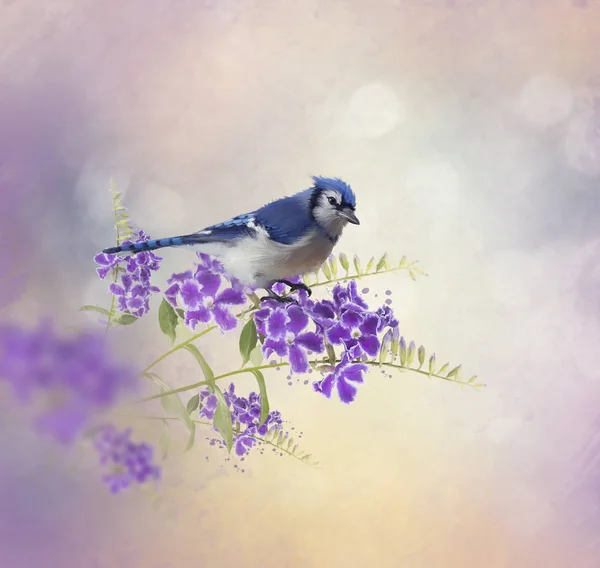 Azul Jay Perching em flores azuis aquarela — Fotografia de Stock