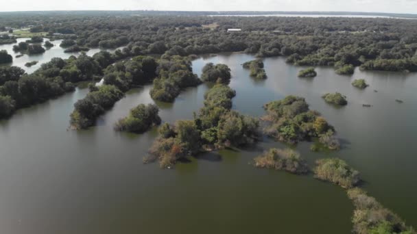 Vista Aérea Das Zonas Húmidas Flórida — Vídeo de Stock
