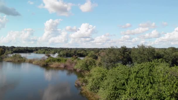 Vanuit Lucht Uitzicht Florida Wetlands — Stockvideo