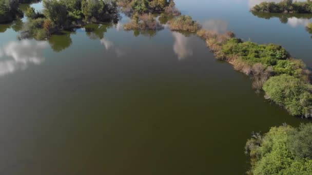 Aerial View Florida Wetlands — Stock Video